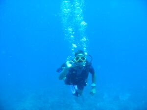 baleine 19